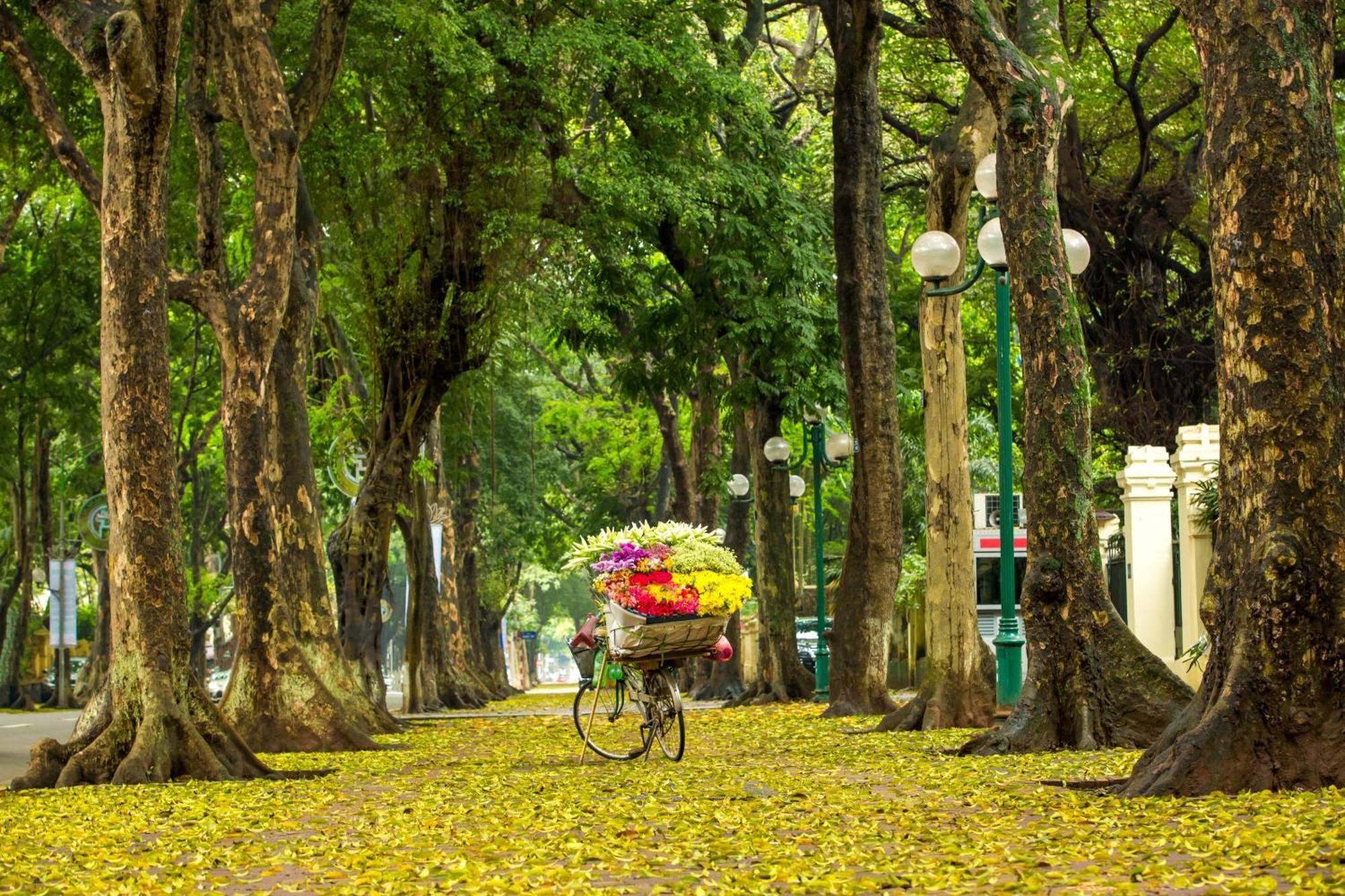 होटल Center Silk & Travel Hanoi